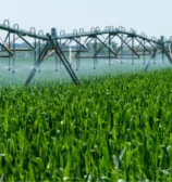 Irrigação agrícola terá aumento de 4,2 milhões de hectares (en)