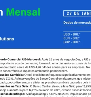 Boletim Mensal de Câmbio - Janeiro 2025 (en)