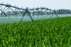 Agricultural irrigation to expand by 4.2 million hectares