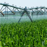 Estudo do Mercado de Irrigação Agrícola Brasil